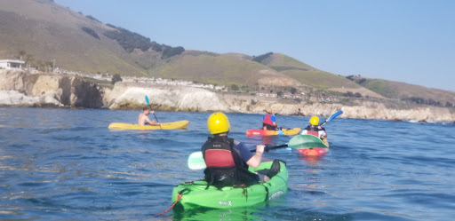 Surf Shop «Pismo Beach Surf Shop», reviews and photos, 470 Price St, Pismo Beach, CA 93449, USA