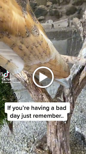 Park «ROGERS PARK», reviews and photos, 30 Rogers Park Ave, Boston, MA 02135, USA