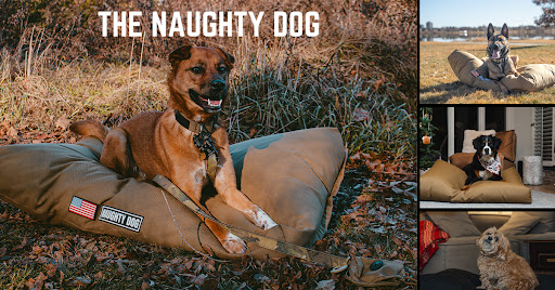 The Naughty Dog