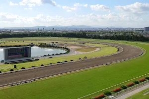 JRA Kyoto Racecourse image