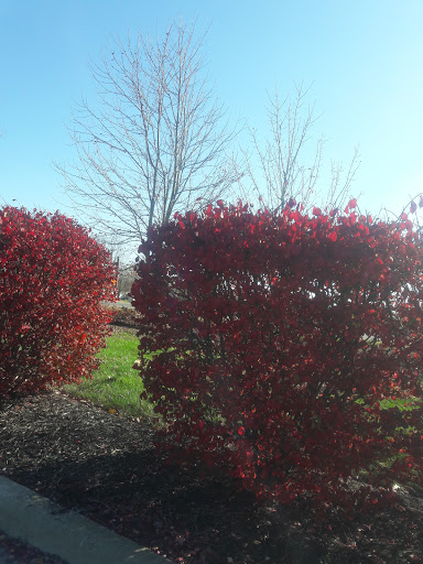 Grocery Store «Kroger», reviews and photos, 8460 E Main St, Reynoldsburg, OH 43068, USA