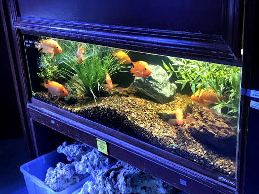 Tropical Fish Store «Beyond the Reef», reviews and photos, 205 W Golf Rd, Schaumburg, IL 60195, USA