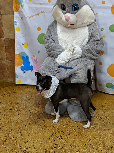 Pet Supply Store «PetSmart», reviews and photos, 1110 NY-112, Port Jefferson Station, NY 11776, USA