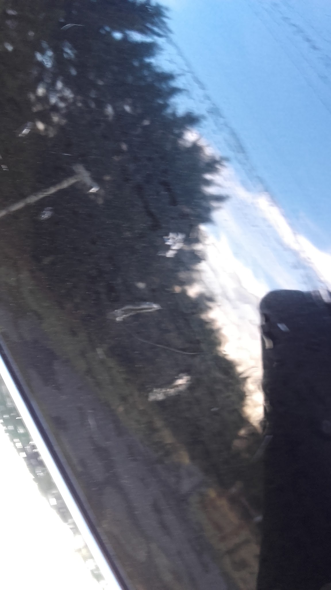 Photo n° 4 de l'avis de jc.e fait le 31/12/2017 à 09:59