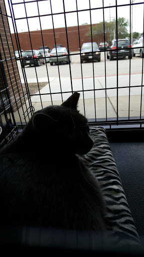 Pet Supply Store «Pet Supplies Plus», reviews and photos, 9 Waukegan Rd, Deerfield, IL 60015, USA