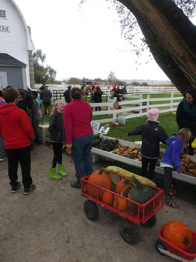 Pumpkin Patch «Barts Farm and Pumpkin Patch», reviews and photos, 7307 Alburnett Rd, Marion, IA 52302, USA
