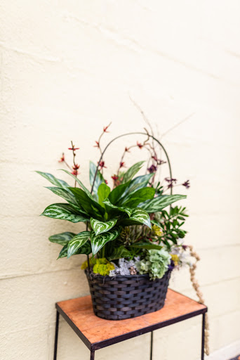 Florist «Flowers By Lou Ann», reviews and photos, 632 S Beckham Ave, Tyler, TX 75701, USA