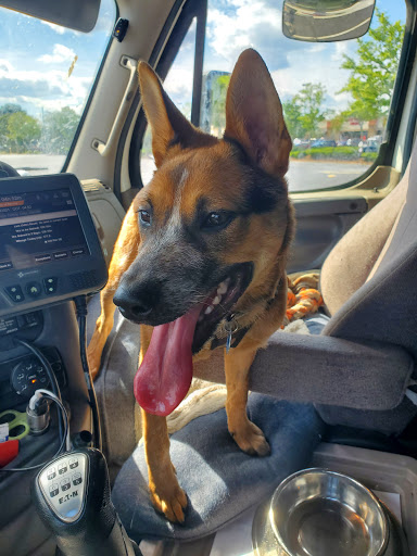 Pet Supply Store «PetSmart», reviews and photos, 2940 Chapel Hill Rd, Douglasville, GA 30135, USA