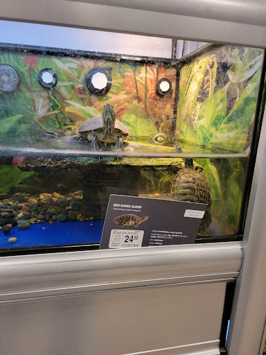 Pet Supply Store «PetSmart», reviews and photos, 19175 Lyndon B Johnson Fwy, Mesquite, TX 75150, USA