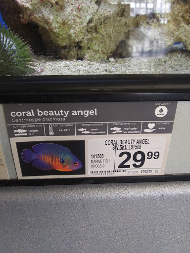 Pet Supply Store «Petco Animal Supplies», reviews and photos, 1933 South Rd, Poughkeepsie, NY 12601, USA