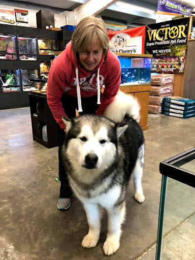 Pet Supply Store «Lazy Creek Discount Pet Food & Supplies», reviews and photos, 351 E Church St, Leesville, SC 29070, USA