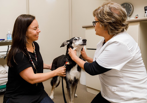 Highway 2 Veterinary Office image