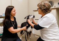 Highway 2 Veterinary Office