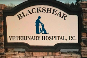 Blackshear Veterinary Hospital image