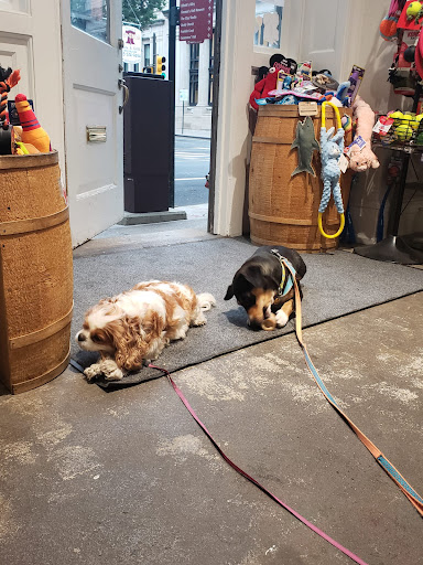 Pet Supply Store «BONeJOUR Pet Supply and Dog Wash», reviews and photos, 53 N 3rd St, Philadelphia, PA 19106, USA
