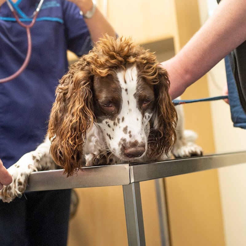 Fenaghy Veterinary Clinic