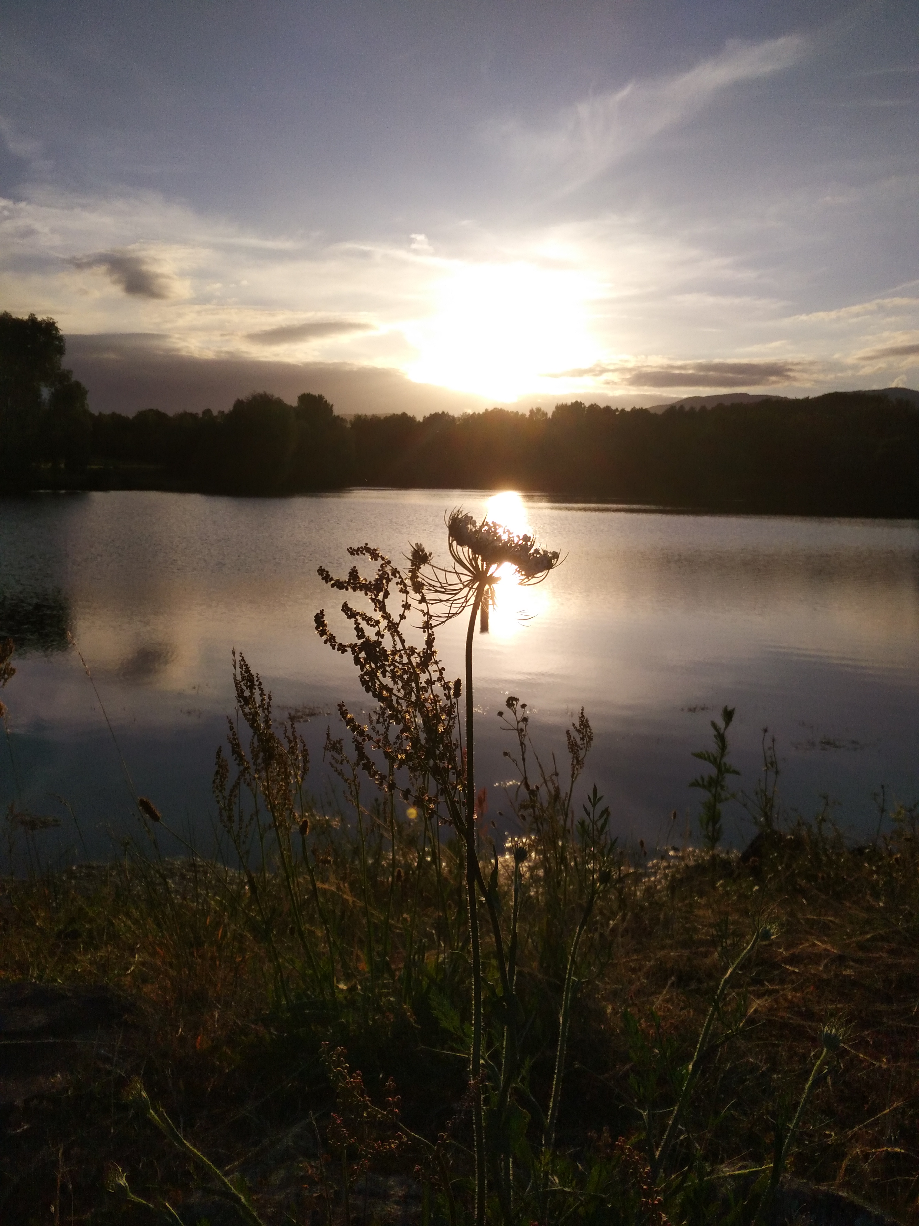 Photo n° 3 de l'avis de Titeanguille.r fait le 10/07/2018 à 04:47