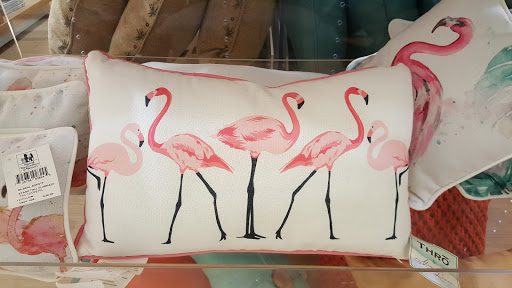 Clothing Store «Bealls Department Store», reviews and photos, 6241 N Davis Hwy, Pensacola, FL 32504, USA