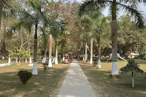 Kalyani Picnic Garden image