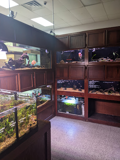 Pet Store «Wet Pets And Friends», reviews and photos, 3695 Washington Rd, Canonsburg, PA 15317, USA
