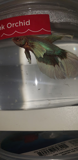 Pet Supply Store «Petco Animal Supplies», reviews and photos, 6025 Kruse Dr #159, Solon, OH 44139, USA