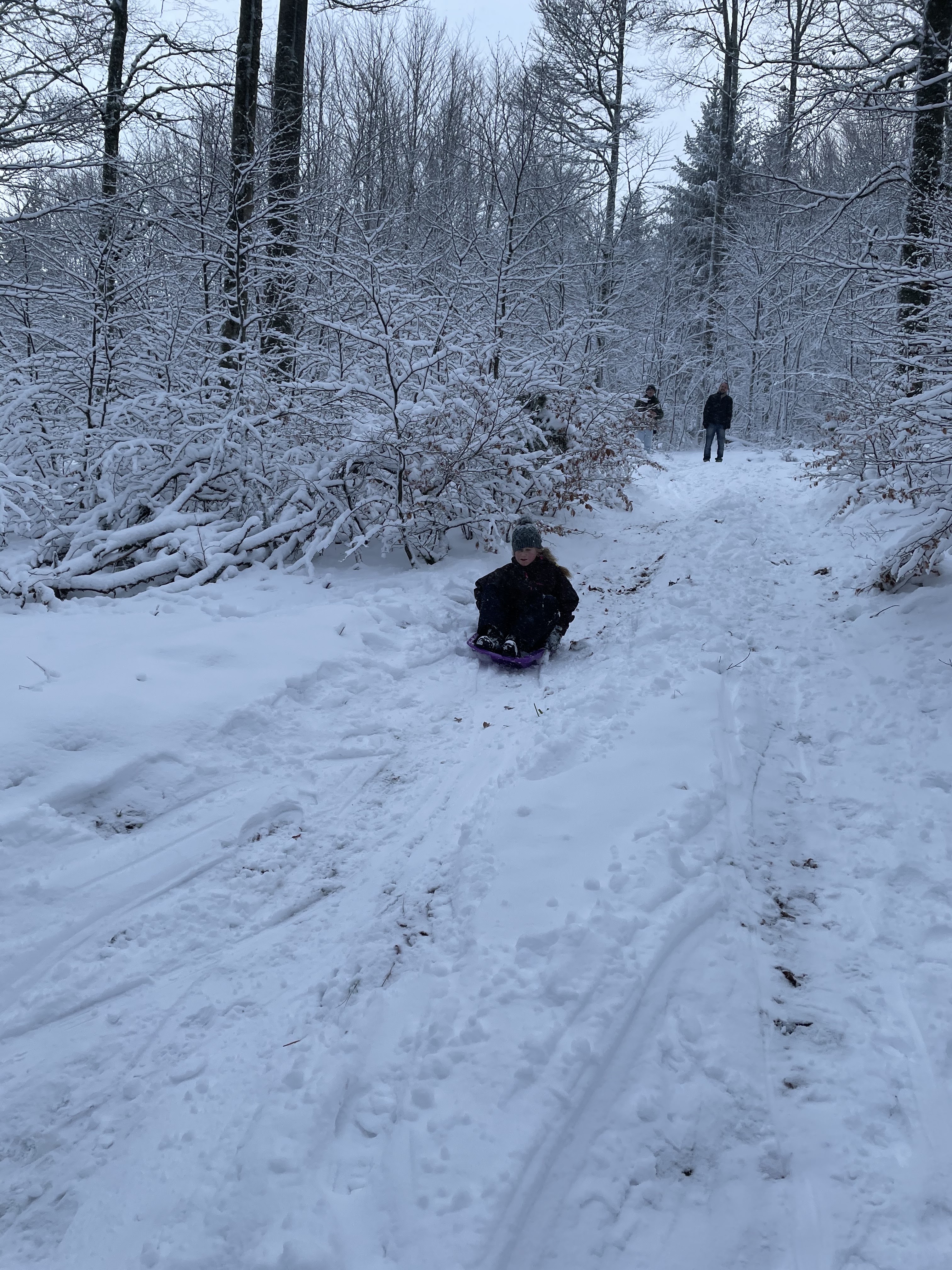 Photo n° 4 de l'avis de Sébastien.u fait le 12/01/2021 à 20:34