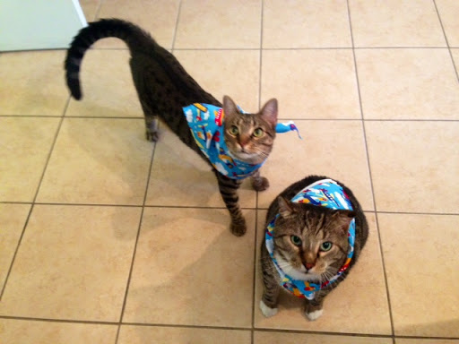 5534 Lawrenceville Hwy, Lilburn, GA 30047, USA