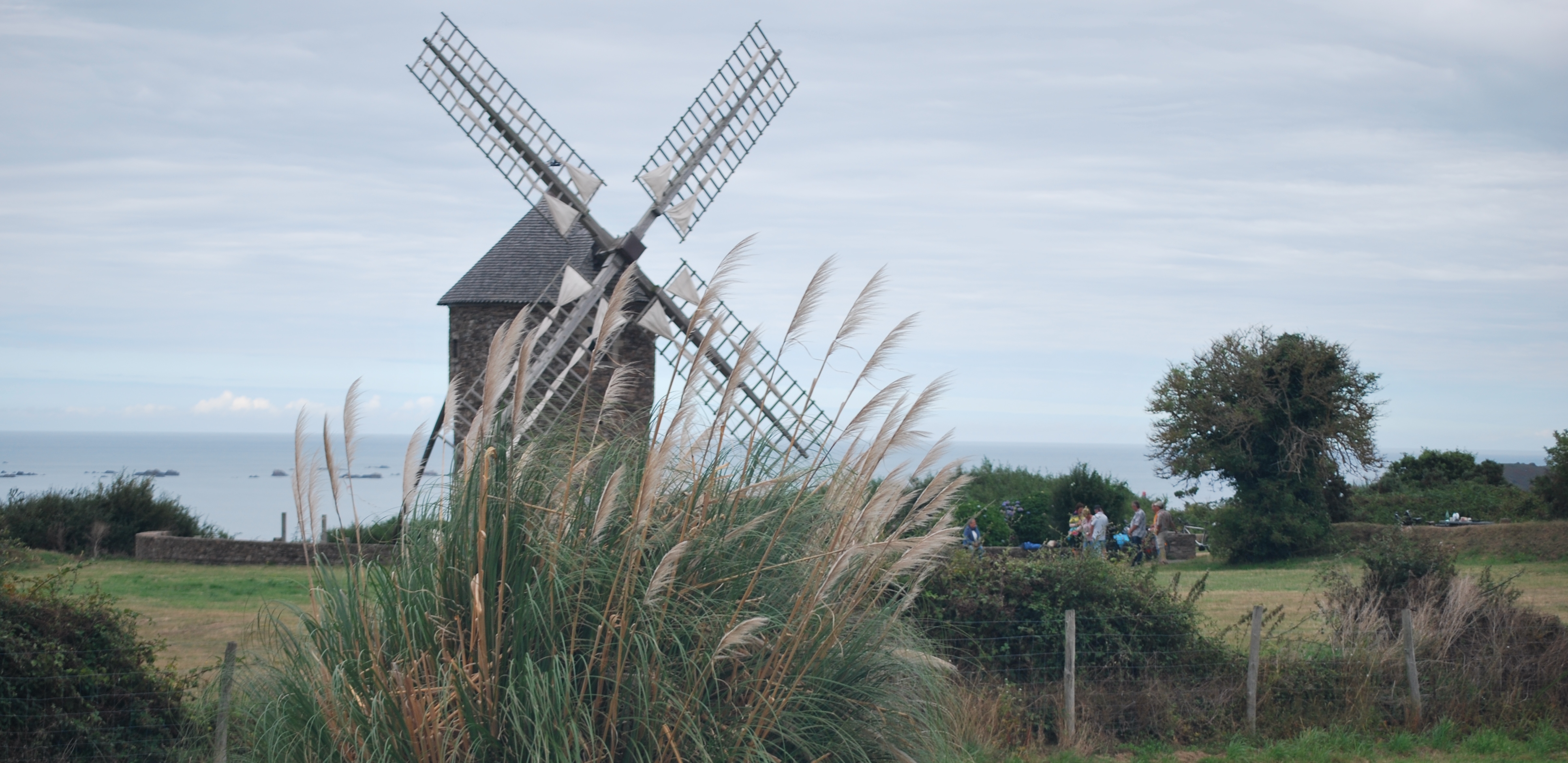 Photo n° 1 de l'avis de Martine. fait le 09/08/2018 à 10:48