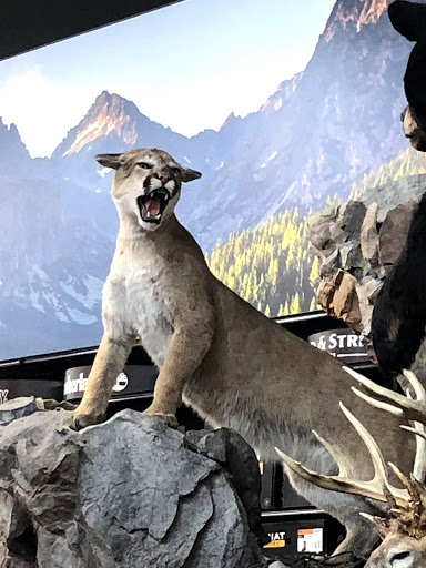 Outdoor Sports Store «Field & Stream», reviews and photos, 5215 Century Ave, Kalamazoo, MI 49006, USA