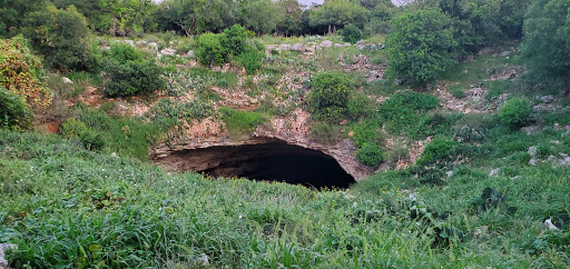 Nature Preserve «Bracken Cave Preserve (Bat Conservation International Inc Events)», reviews and photos, 26101 FM3009, San Antonio, TX 78266, USA