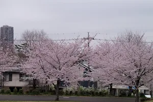 Wadabori Park Seibiyama Athletic Field image