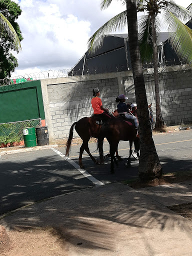 Federacion Canina Dominicana