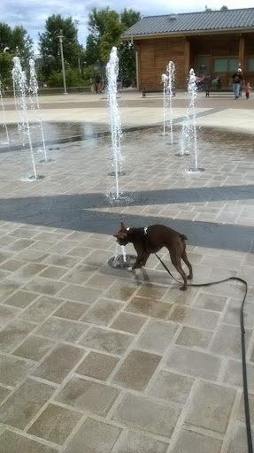 Park «Hillsboro parks and Recreation», reviews and photos, 300 NE 53rd Ave, Hillsboro, OR 97124, USA