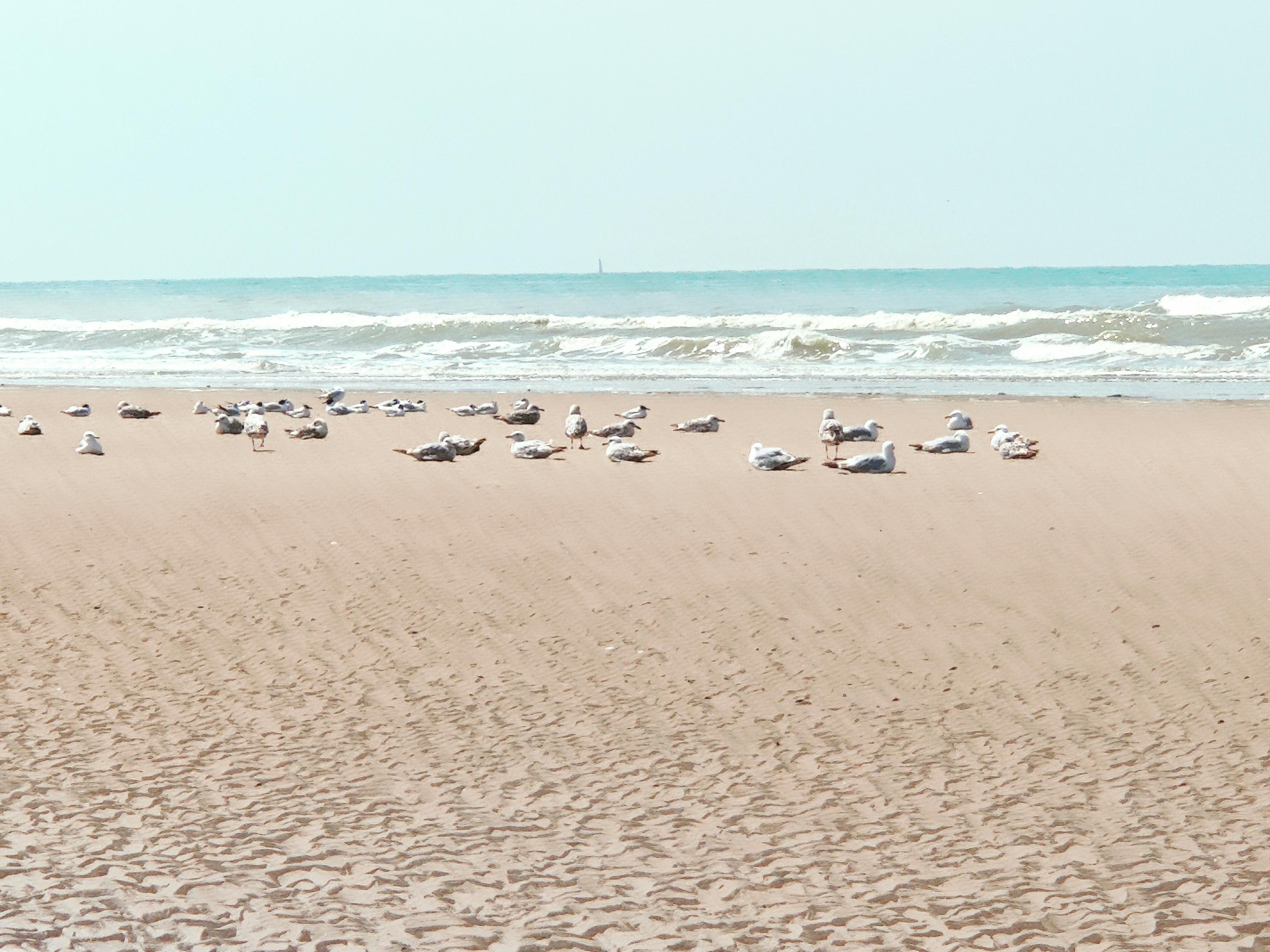 Photo n° 5 de l'avis de Fabienne.e fait le 02/07/2021 à 19:36
