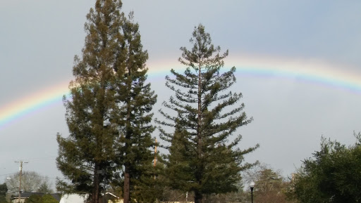 Mexican Grocery Store «Casa del Mole», reviews and photos, 434 Center St, Healdsburg, CA 95448, USA