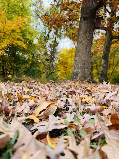 Tourist Attraction «Greensfelder Memorial Shelter», reviews and photos, 13236 Streetcar Dr, Maryland Heights, MO 63043, USA