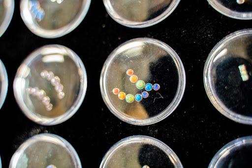 Explore snake tattoo ideas, creative tattoo ideas in Summerville, available at Exotic Impressions Body Piercing