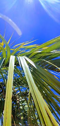 Great America Outdoor Living - Photo 3 - Car repair in Wilmington, NC, Wilmington