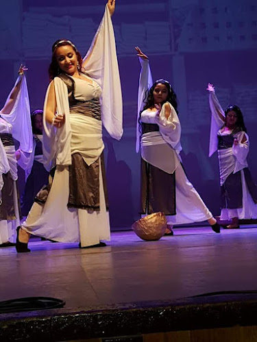 Opiniones de Sephora Danzas Árabes en Arica - Escuela de danza