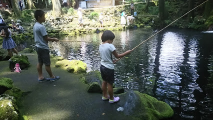 静岡県水産技術研究所 富士養鱒場