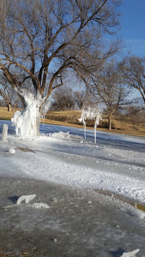 Golf Course «Meadowbrook Golf Course», reviews and photos, 601 Municipal Dr, Lubbock, TX 79403, USA