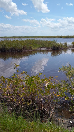 Nature Preserve «Scottsmoor Flatwoods Sanctuary East», reviews and photos, 6000 Magoon Ave, Mims, FL 32754, USA