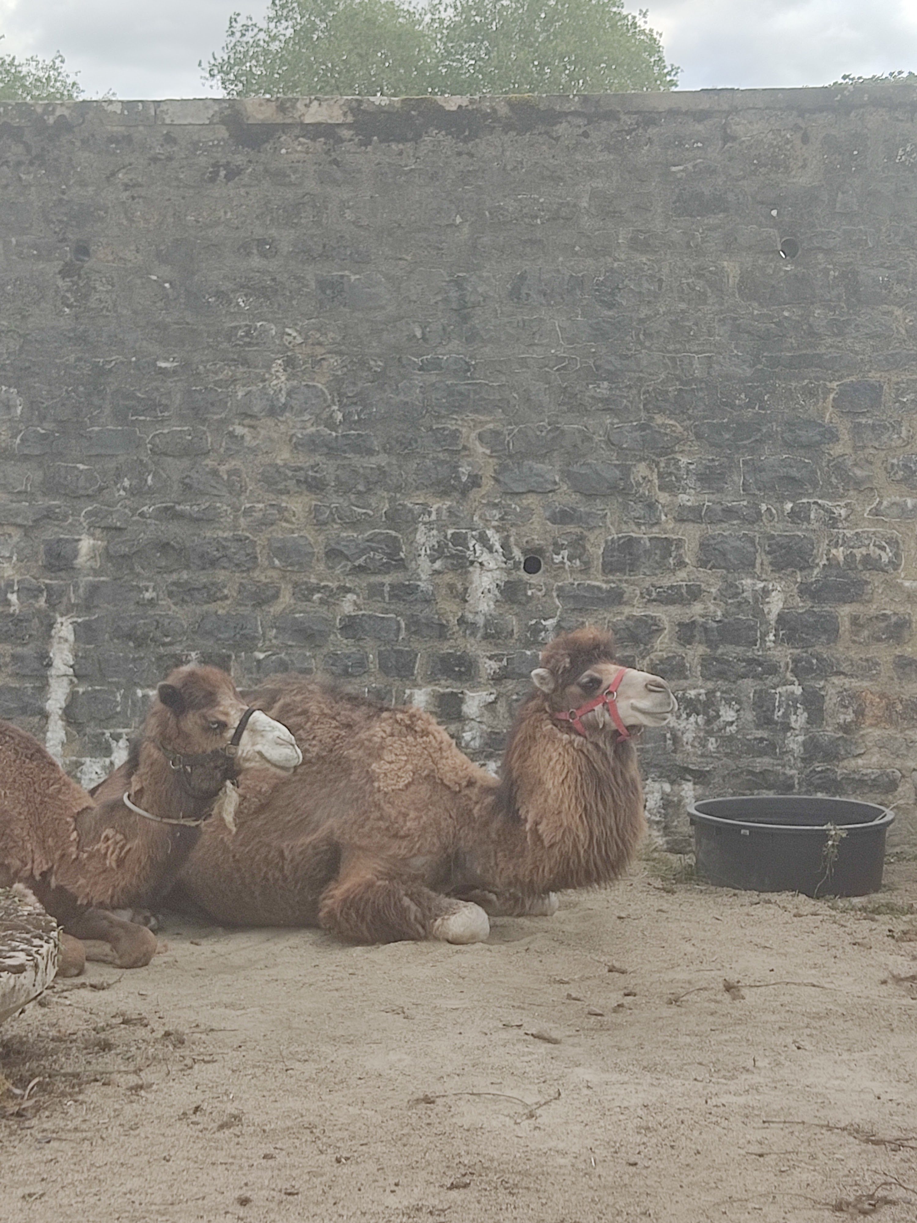 Photo n° 20 de l'avis de Motard.r fait le 02/07/2022 à 22:55