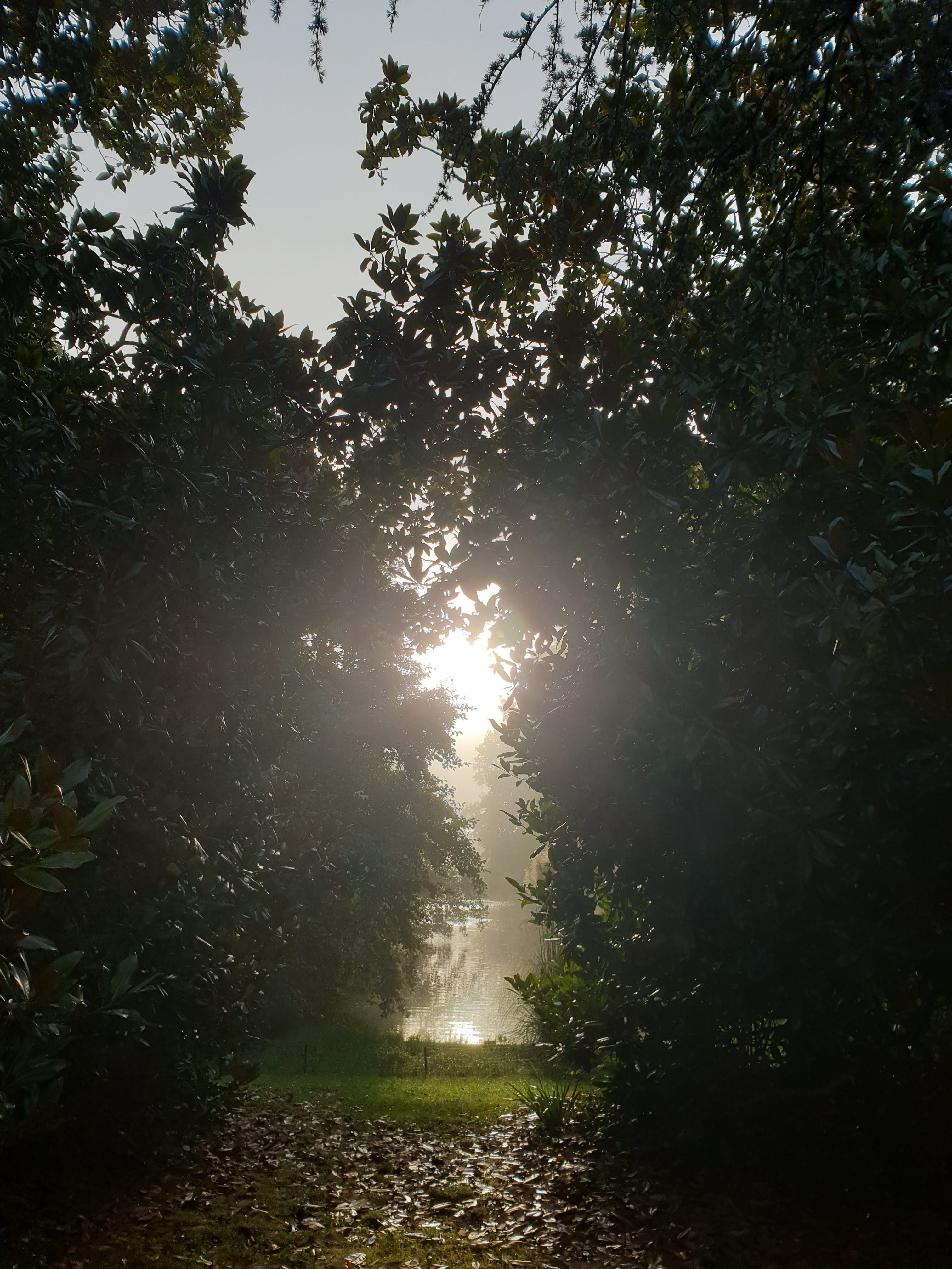 Photo n° 1 de l'avis de Ana.n fait le 03/10/2021 à 16:22