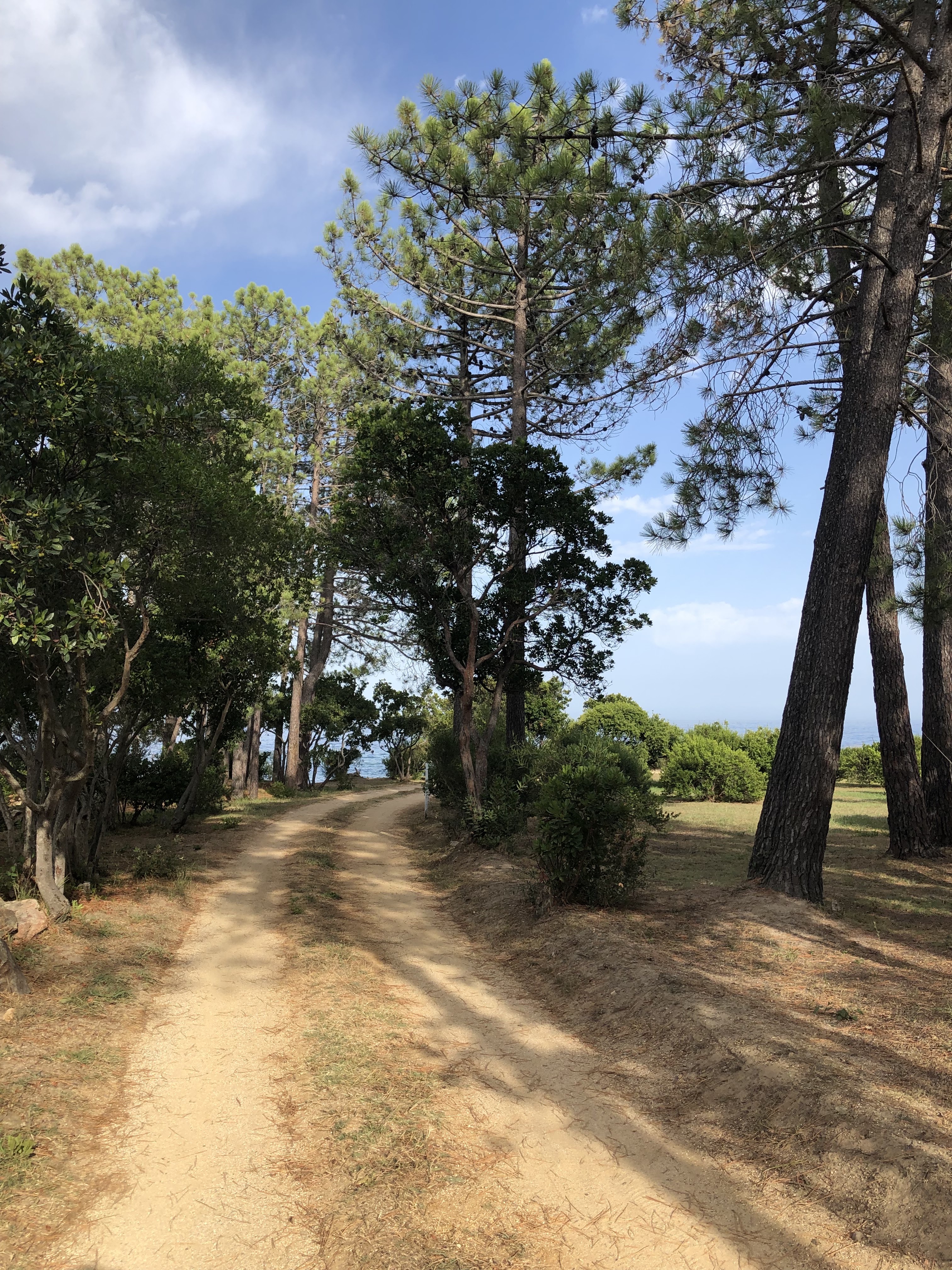Photo n° 9 de l'avis de Peacock.e fait le 31/08/2021 à 16:52