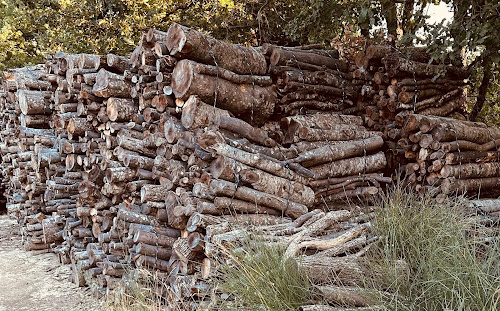 Magasin de bois de chauffage Bourgaud Michel Le Puy-Sainte-Réparade