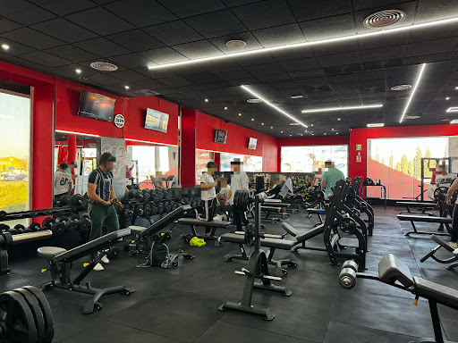 Bull Fitness en Illescas, Toledo