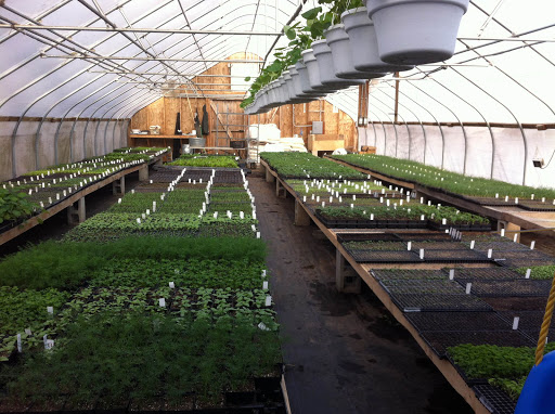 Farm «Langwater Farm», reviews and photos, 209 Washington St, North Easton, MA 02356, USA