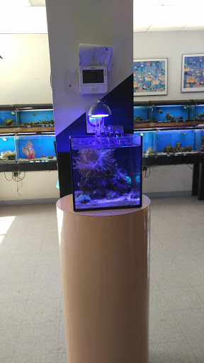 Aquarium Shop «Reef Encounter-Bergen County», reviews and photos, 504 Hudson St, Hackensack, NJ 07601, USA