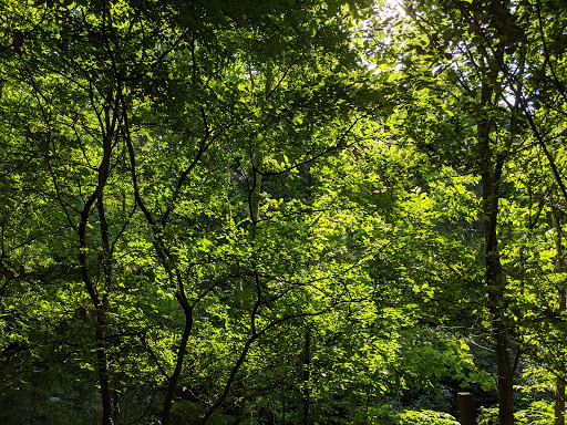 Non-Profit Organization «Houston Audubon Society», reviews and photos, 440 Wilchester Blvd, Houston, TX 77079, USA